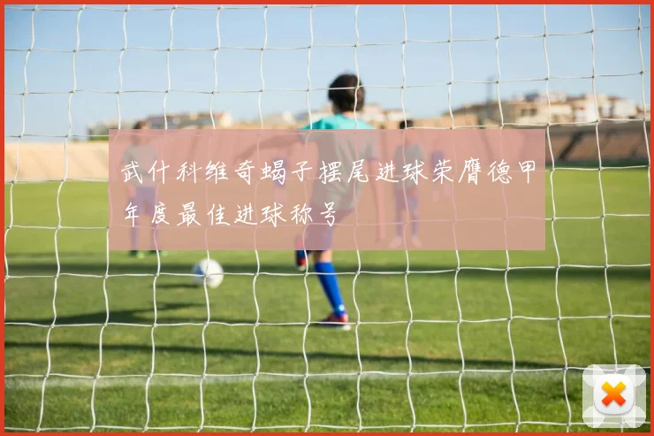武什科维奇蝎子摆尾进球荣膺德甲年度最佳进球称号